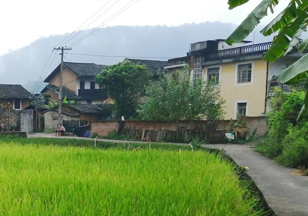 5f3d224273486.jpg