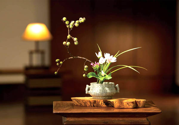 5f97735f34d94.jpg