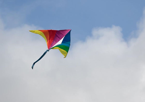 60c0c04945d76.jpg