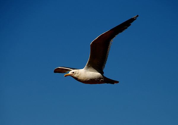 60d730851c4aa.jpg